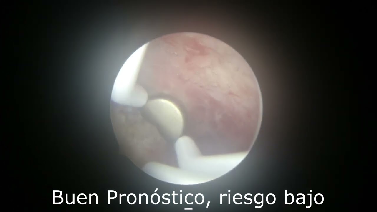 Jorge Alberto Rodriguez Pezino-70