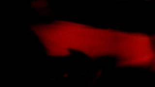 Stephen moshing...(Taproot~"Myself")