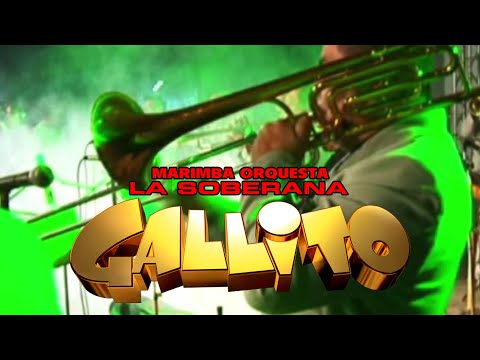 La Soberana Gallito  -  Coatepeque