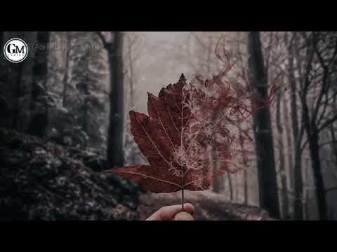 ARPAS BAND - SEBATAS MENGAGUMI [ Lirik ]