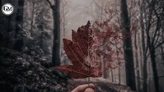 Download lagu ARPAS BAND - SEBATAS MENGAGUMI [ Lirik ] mp3