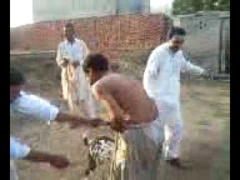 some trouble in mojianwala