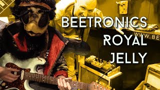 Video thumbnail for Beetronics and the ROYAL JELLY Pedal! by EytschPi42