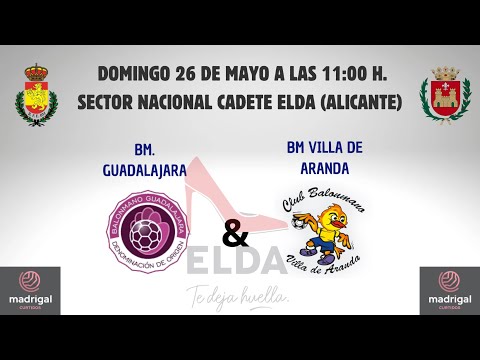 BM. GUADALAJARA - BM VILLA DE ARANDA