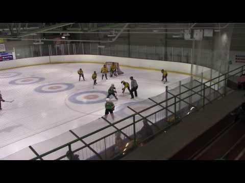 Leki75 Lions   Kalpa Spiders 1ot 021016