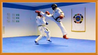Taekwondo Sparring Session (Ginger Ninja Trickster)