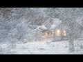 Whirling Wind Sounds Fierce Snowstorm Harsh Blowing Snow Extreme Winter Wind For Study Sleep