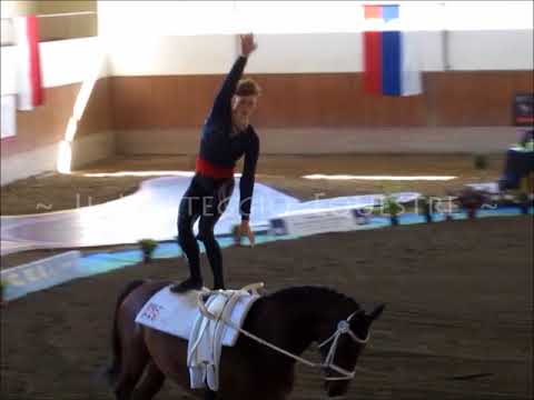 CVI Portogruaro 2018 - Volteggio - ind 2* j M - 4°Germania - Gregor Klehe