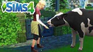 How To Buy Animal Treats (Cottage Living Tutorial) - The Sims 4