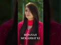 Tum Kon Piya WhatsApp Status