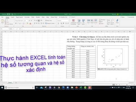 BT04-C2-(Excel) Como usar o software