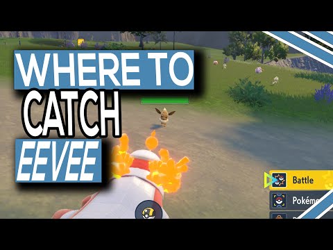 Where To Catch Eevee In Pokemon Scarlet And Violet