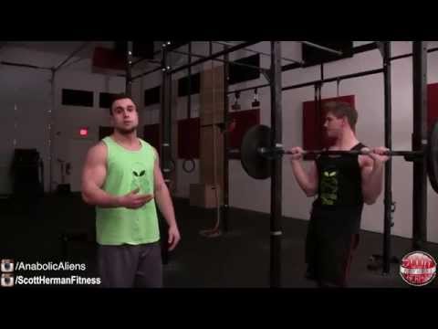 Muscular Strenght Title