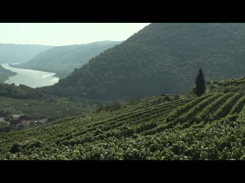 Die Donauregion in Niederösterreich.