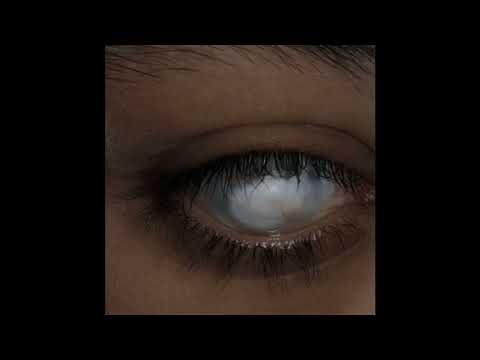 (FREE) Selug x Wallace Cleaver Type Beat - eclipse