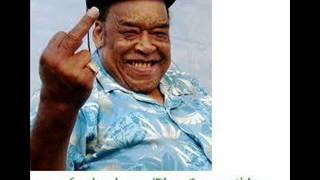 James Cotton Blues Band - Nassau Community College Folk Festival, 1986