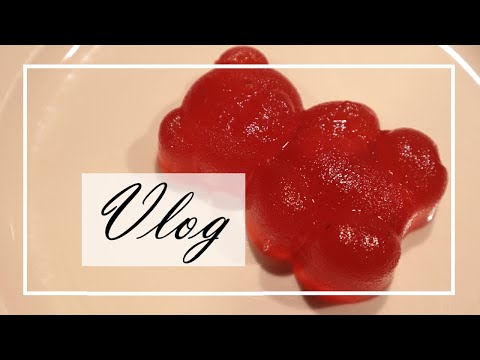 PRVNÍ DEN V PRÁCI/želé medvídci