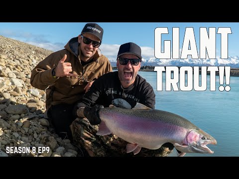 These canals are  full of GIANT TROUT! Everyone lands their personal best - S8 EP9 Twizel