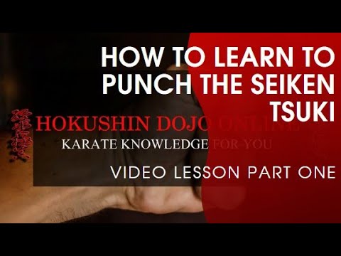 How to learn to punch the seiken tsuki
