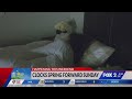 Tips And What To Know As Daylight Saving Time Returns This Weekend
