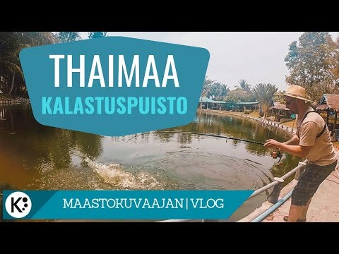 Kalastus Thaimaassa 🌴Kokemuksia & mietteitä kalastuspuistosta