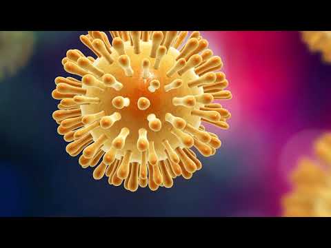 ¿Qué es el Coronavirus?