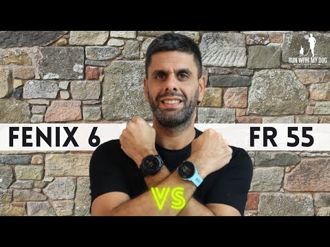 The affordable vs the beast // Garmin Fenix 6 pro vs Forerunner 55