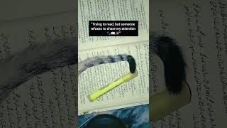 What Are You READING Today?