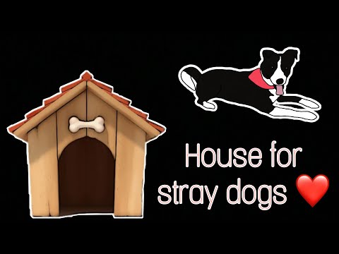 How to take care of street dogs in winters | House for street dogs | simran khindri vlogs