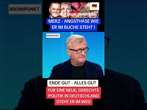 #nachrichten #fakten #wahl #afd #cdu #merz #sachsenanhalt #politik #heimat #demokratie