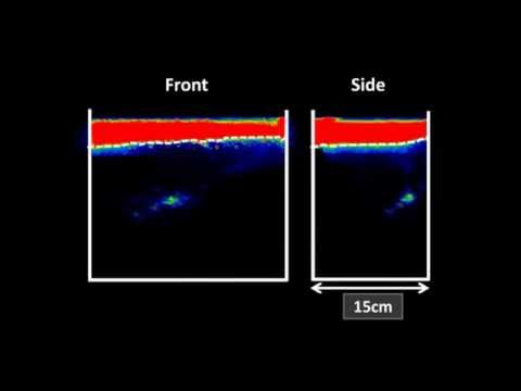 Seeing the Unseen-Bioturbation in 4D: Tracing Bioirrigation in Marine Sediment Using Positron...