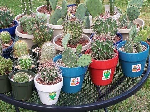 The Snow Plow Show Episode 386 - PLA Killed The Prank Star