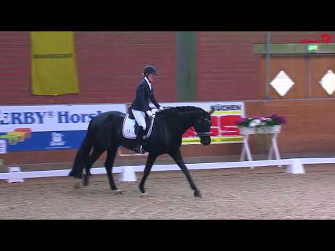 Dressurturnier Timmel | Jessica Andersson | Bon Coeur | Dressurpferdeprüfung Kl.M* |