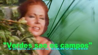 Musik-Video-Miniaturansicht zu Verdes são os campos Songtext von Luís Vaz de Camões