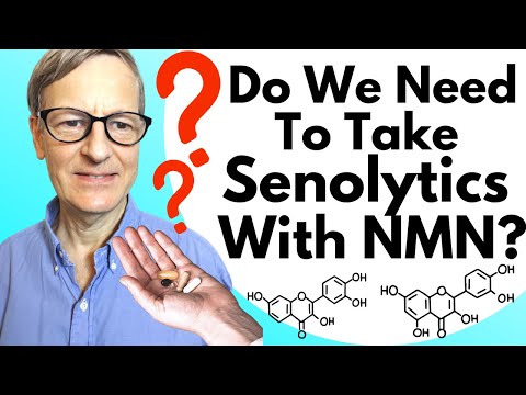 Do Studies Show That We Need To Take Senolytics With NMN?