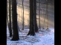 Bloody woods - Orange blossom ring 