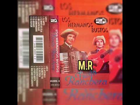 los hermanos bustos el solteron