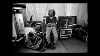 Three Little Birds - Bob Marley (Stephen Marley and Jason Bentley Remix)