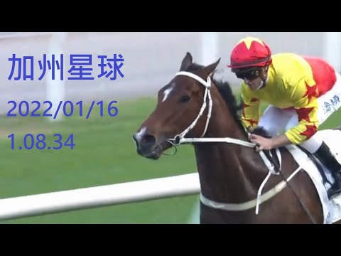 加州星球  CALIFORNIA SPANGLE  2022/01/16   香港賽馬貼士 HONG KONG HORSE RACING TIPS
