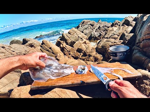 Eat What You Catch, Squid 2 Ways - SOLO CAMPING Remote Islands