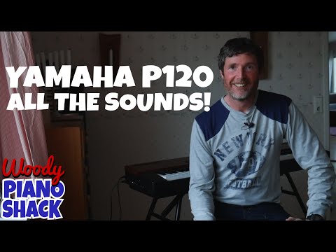 Yamaha P-120 P120 Digital Piano image 10