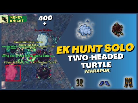 TIBIA: EK HUNT SOLO #107 TWO-HEADED TURTLE AND FOAM STALKER (GREAT PEARL FAN REEF) MARAPUR