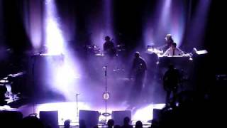 PAUL WELLER TREES 2010