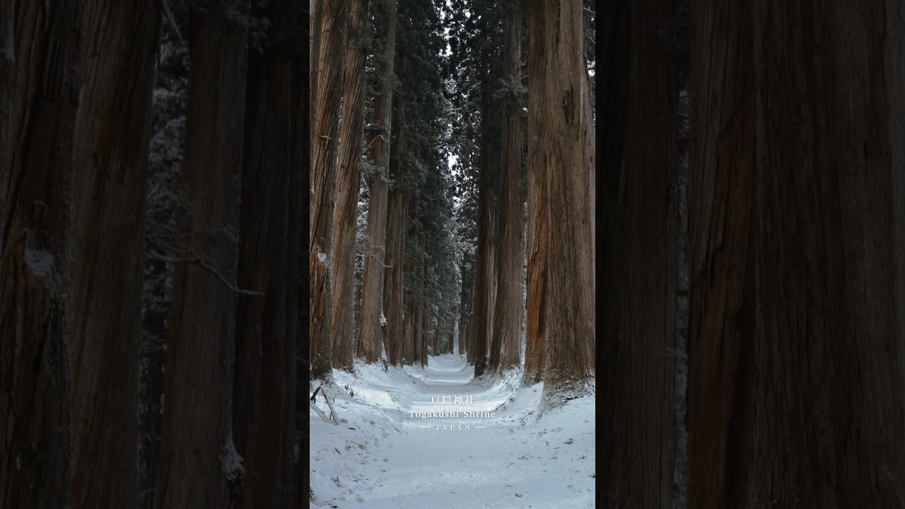 YouTube Short thumbnail