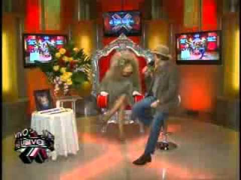 SuperXclusivo - Susan con guille de perra en las noticias...