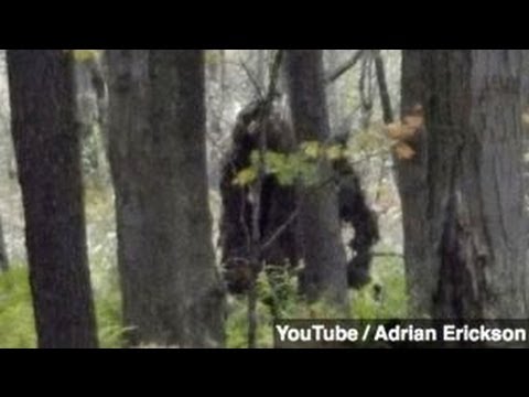 New Footage, DNA Prove Bigfoot Exists, Group Says