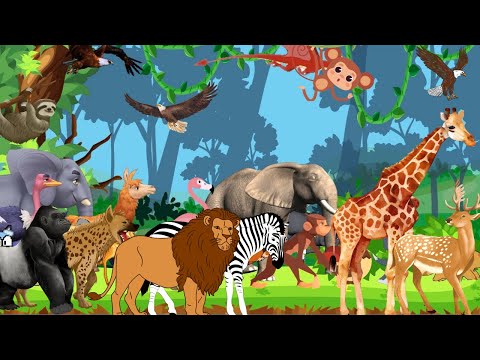 ABC Safari Animal Sounds Song | Real Wild Animal Noises | Kids Smart Learning 10TH0126
