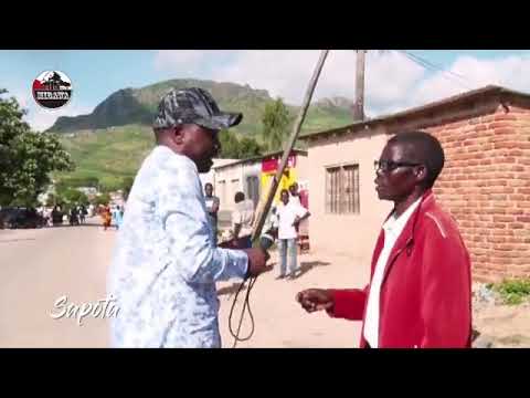 Sapota in Malaysia and Zambia