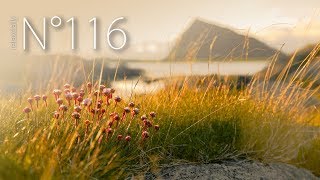 relaxdaily - Gimsoya [N°116]