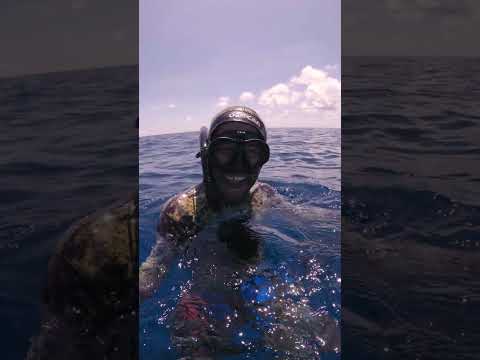 MASSIVE Marlin Attacks Me (& steals my tuna)